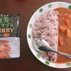 「奄美ベジタブルCURRY 中辛」（風と光）【在宅カレー】