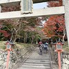 大原野神社から松尾大社まで紅葉ハイキング