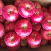 腸活に効果的なりんごと香り高いシャインマスカット🍎🍇