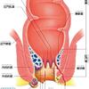 女子は肛門を締めろ！