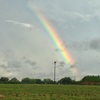 早朝の一瞬の間に綺麗な虹が見られました。　天気予報は一日雨模様です…