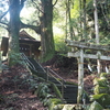 生きた鳥居！？高知県南国市にある地主神社の不思議な鳥居、鳥居杉とは？