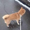 新年度のスタートは雪！