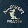 1894 ビンテージ カラーフロッキー 70's VINTAGE COLOR FLOCKEY sweatshirt COLLEGIATE PACIFIC 