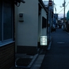 昨日、そして今日撮った写真。