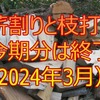 今期の薪割り、枝打ち終了（2024年3月）