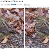 JavaScript）画像2倍アップスケーリング＆シャープネス・ツール作成。Windows高画質化アプリ「Aiarty Image Enhancer」に負ける。