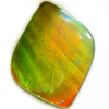 アンモライト(Ammolite) の限定ルースです。