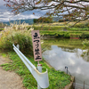 ただら下池（和歌山県海南）