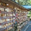 voigtlander HELIAR 40mm F2.8で神社を散策