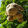 2026年5月18日（月）　初夏にゆるめの在宅ワーク