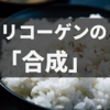 肝臓・筋肉でのグルコーゲンの合成・分岐【経路・酵素】