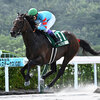 競馬初心者必見☆馬券予想🔥〜プロキオンS〜開催月が変わり傾向も変わるか？