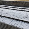 東京は今シーズン初の雪！