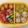 小食息子の幼稚園弁当