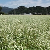 福井県内で出会う素敵な景色