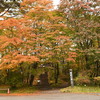 日光霧降高原「霧降の滝」の紅葉が今年も見ごろとなる