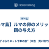 【ルマ島】ルマの卵のメリットと餌の与え方
