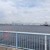 やっぱりマゴチは大黒海釣り施設でしょ☆