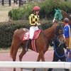 藤田菜七子騎手 笠松初参戦 観戦記