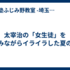 太宰治の「女生徒」を読みながらイライラした夏の朝