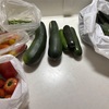 家事が嫌いなんじゃなくて〇〇なだけかもよ？
