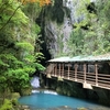 なつかしの旅：秋芳洞 ②（山口県美祢市）