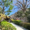 病理医は臨床医の下請けではない（下）