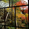 禅林寺　（永観堂）