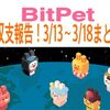 【BitPet】ビットペット収支報告！3/13〜3/18まとめ