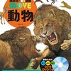 父親の育児日記　かわいいのには意味がある？