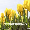 コロナウイルス、欧州での感染者数と死者数の増加が止まりません！