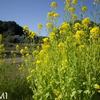 E-PM1のGR化計画(9)