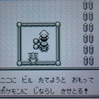 初代ポケモン赤 ポケモン図鑑完成へ すけごログ 初代ポケモン赤 ポケモン図鑑完成へ すけごログ