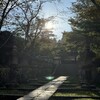 気が楽になり、根気も育つ