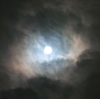 昨夜は「中秋の名月」、、、