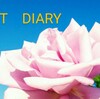 Diet*diary(2020/05/01)