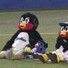 つば九郎を写真の数々で偲ぶ