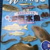 宮崎県北にすむ淡水魚^_^