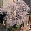 3月27日　里村明衣子と荒井優希。