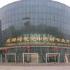 中国の生薬市場（成都荷花池中薬材専業市場）
