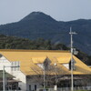 早春の川辺風景