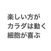 動的ストレッチ＞静的ストレッチ