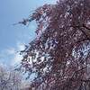 八代城築城４００年記念 第３５回やつしろ全国花火競技大会 ２０２２年 花火打ち上げ時間は？