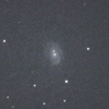ライオンの鼻先に NGC2916 煙い？