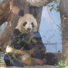 上野動物園の動物１