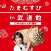 「たまむすび in 武道館 ～10年の実り大収穫祭！～」DVDを買った備忘録【今日のラジオ・買い物（2023/4/12大安）】