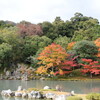 京都観光を振り返る