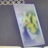 4タイトル縦断アローラ冒険レポート⑤
