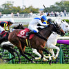 競馬初心者必見☆馬券予想🔥〜府中牝馬S〜人気が割れた混戦レース！